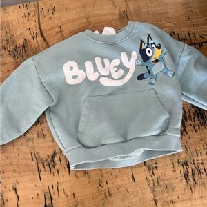 Zara Bluey sweatshirt